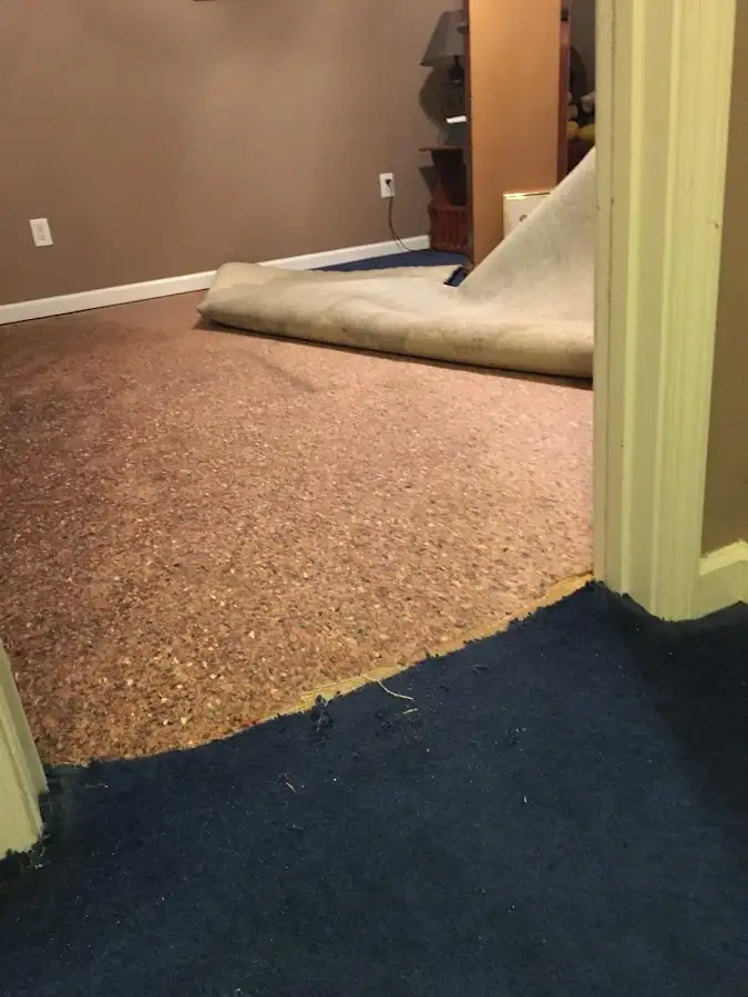 Carpet pad removal revealing water damage during Drying & Dehumidification in Bainbridge Island