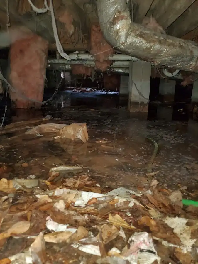 Crawl space flood assessment for Commercial Water Damage Restoration in Bainbridge Island