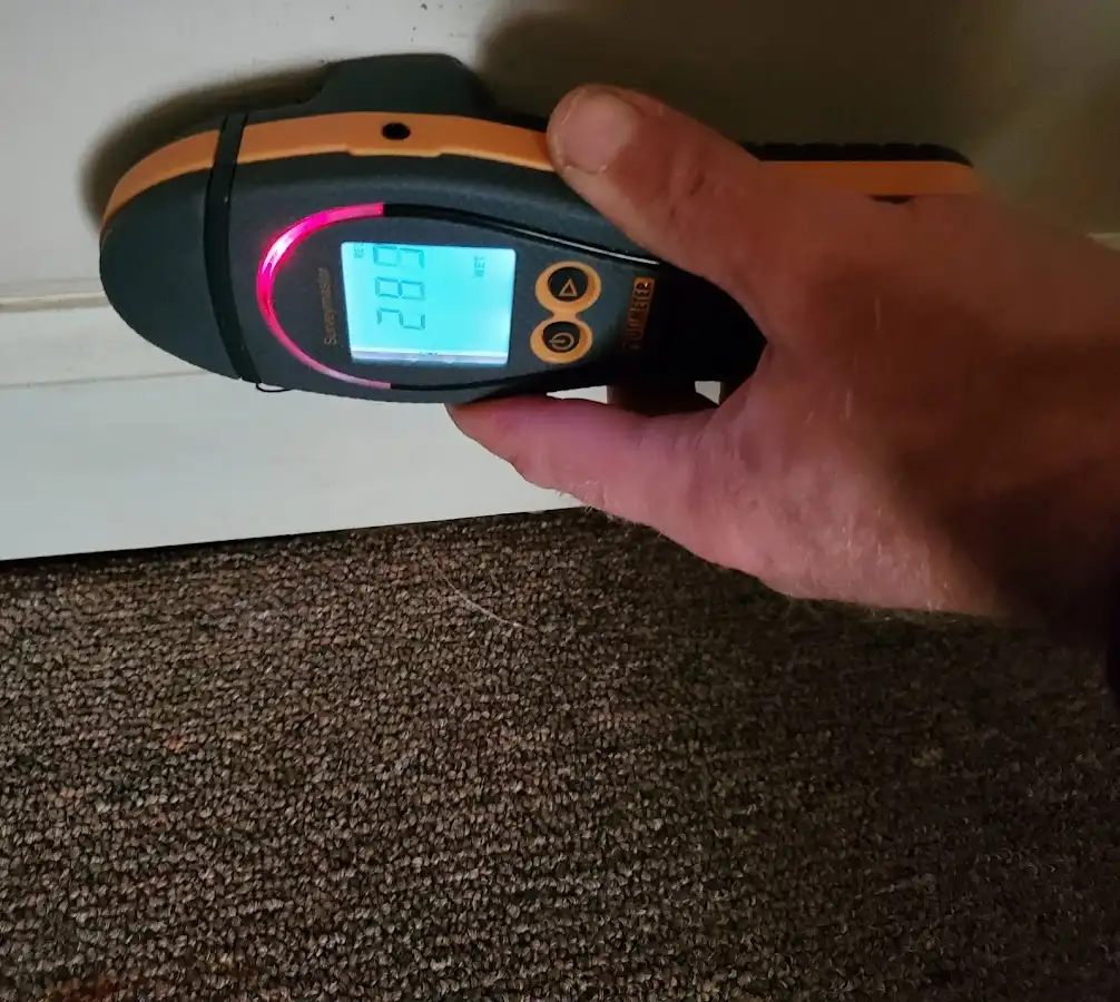 Moisture detection at baseboard during Sewage Cleanup & Sanitation in Bainbridge Island